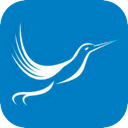 Fengniao Mobile VPN, 蜂鸟手机翻墙app