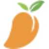 Mango Mobile VPN